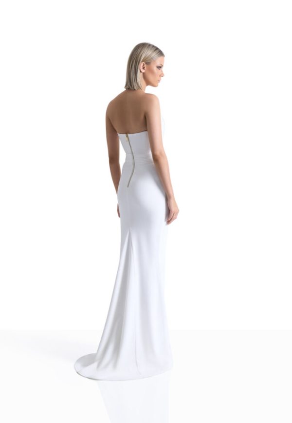 REINE DE REINETTES GOWN - Image 4