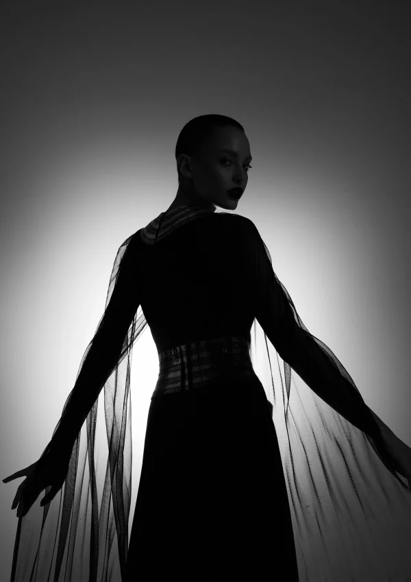 A.K.H.L THE CONCENTRIC METALLIC FALL DRESS - Image 5
