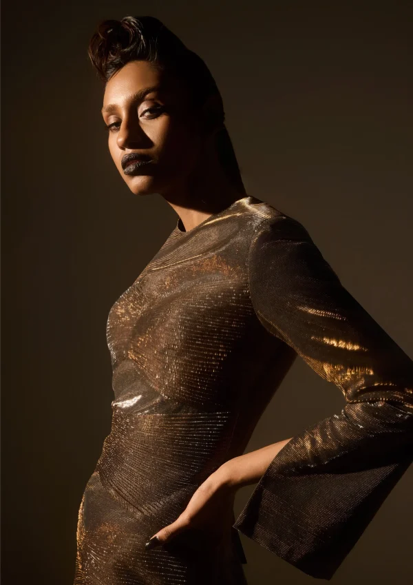 A.K.H.L THE BRONZE MICROPLEATED PANELS DRESS - Image 4