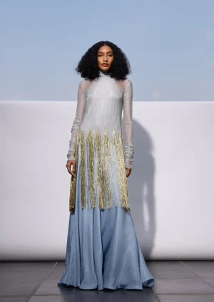 THE SKY MESH DRESS