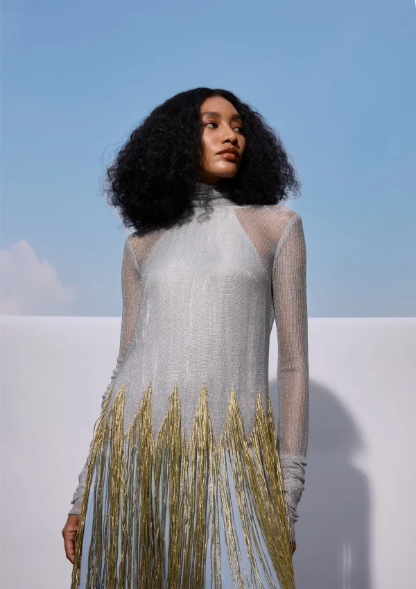 THE SKY MESH DRESS - Image 3
