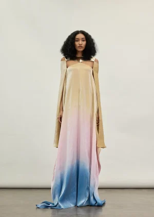 THE GOLD PLATE SPECTRUM DRESS