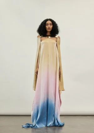 The gold plate Dress
