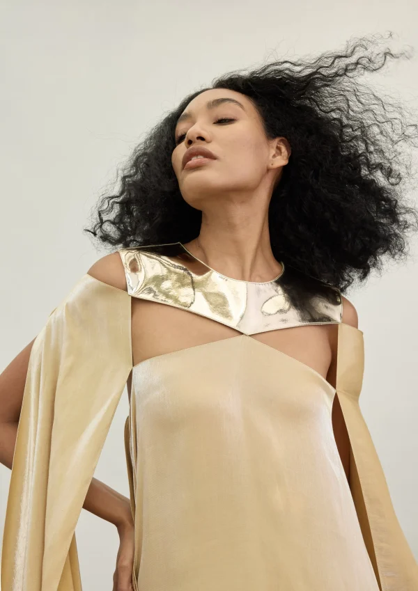 THE GOLD PLATE SPECTRUM DRESS - Image 3