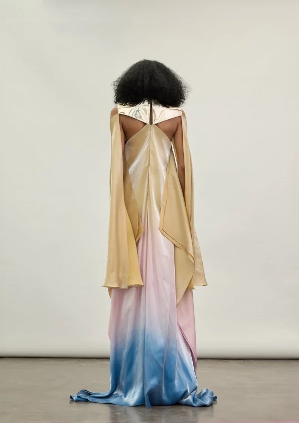 THE GOLD PLATE SPECTRUM DRESS - Image 4