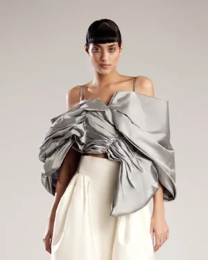 Luxurious Silver Top