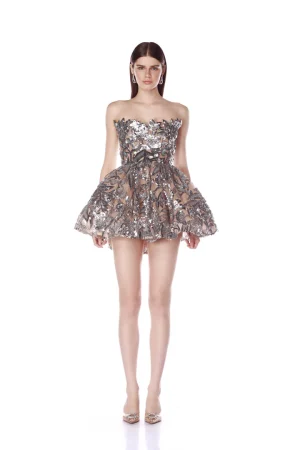 Chloe Strapless Silver Dress