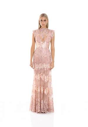 Stolen Dreams Nude 2 pcs Gown