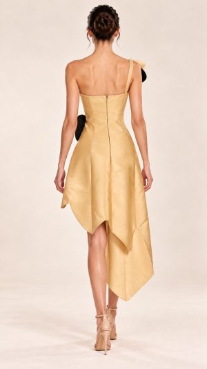 Alternative view of Carol Gown